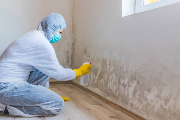 Licensed Mold Testing service in Fort Washington, MD - WQB Mold Removal