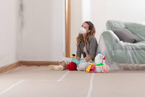 Reliable Mold Testing contractor in Fort Washington, MD by WQB Mold Removal